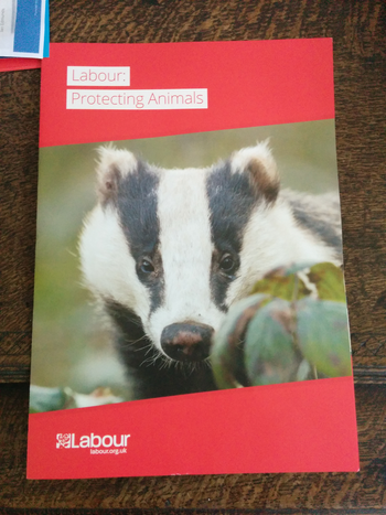 Thumbnail of leaflet from David Drew