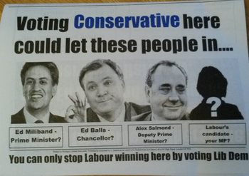 Thumbnail of leaflet from Lynne Featherstone
