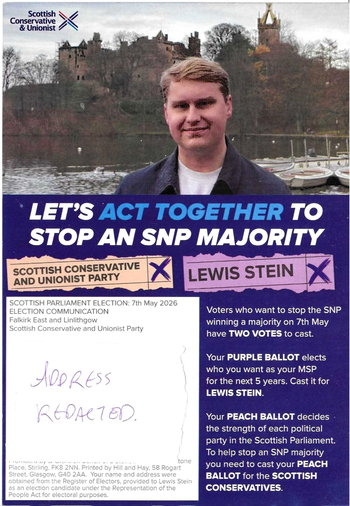 Thumbnail of leaflet from Lewis Stein