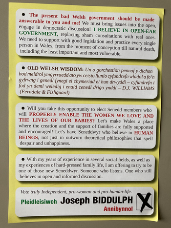 Thumbnail of leaflet from Joseph Anthony Biddulph