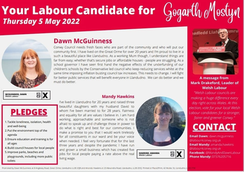 Thumbnail of leaflet from Dawn McGuinness