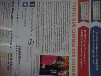 Thumbnail of leaflet from Marisha Priyanka Ray