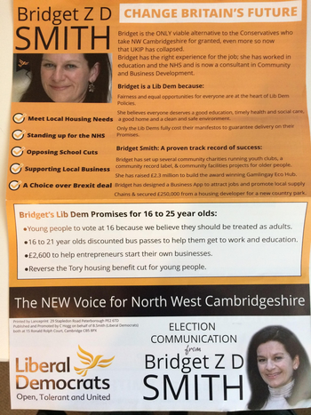 Thumbnail of leaflet from Bridget Zoe Dorrington Smith