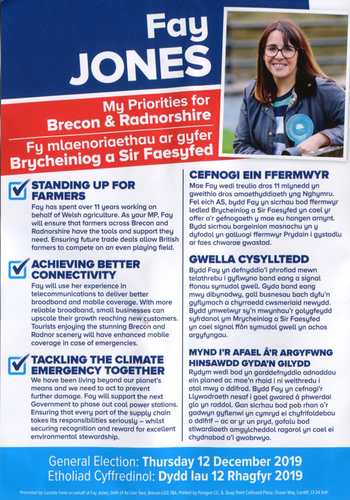 Thumbnail of leaflet from Fay Jones