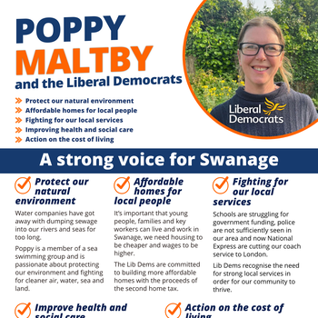 Thumbnail of leaflet - Liberal Democrats leaflet