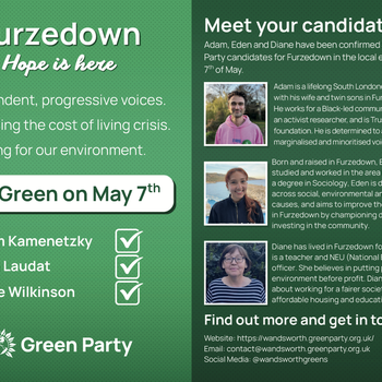 Thumbnail of leaflet - Green Party leaflet