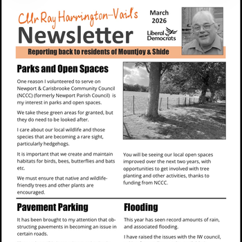 Thumbnail of leaflet - Liberal Democrats leaflet