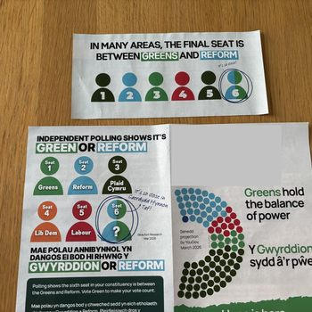Thumbnail of leaflet - Green Party leaflet