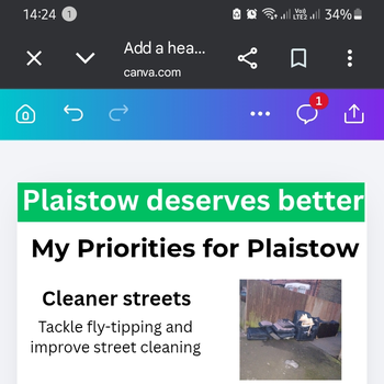 Thumbnail of leaflet - Green Party leaflet