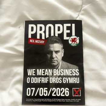 Thumbnail of leaflet - Propel leaflet