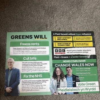 Thumbnail of leaflet - Green Party leaflet