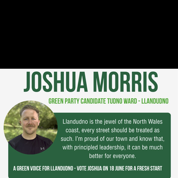 Thumbnail of leaflet - Green Party leaflet